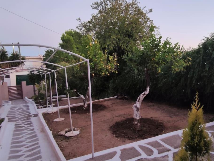 Penthouse Studio Next To The Sea Salamina Esterno foto
